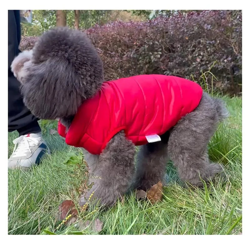 Cozy Insulated Puffer Dog Vest